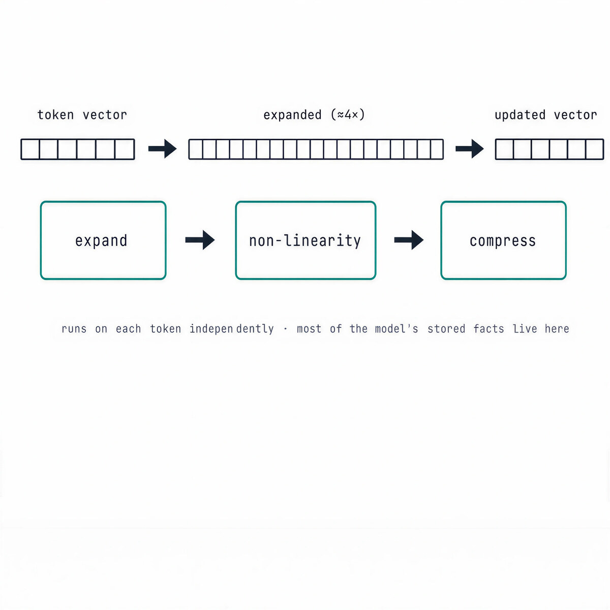 A token vector expanded to a larger width, passed through a non-linearity, then compressed back to its original size, run independently on each token.